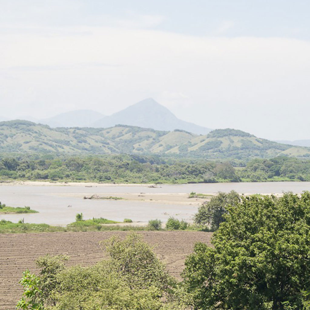 UNIMINUTO-en-la-Hoja-de-Ruta-PDET-Sur-de-Tolima-